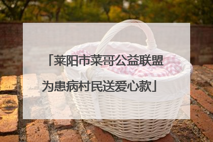 莱阳市菜哥公益联盟为患病村民送爱心款